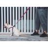 Buy cheap 3 Ft 4 Ft 6ft Reflective Dog Lead Leash Purple Training Running Safety Durable from wholesalers