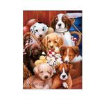 Lovely Cats And Dogs 3D Lenticular Pictures Printing Customized Size