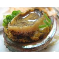Buy cheap 12 Months Shelflife Home Canned Foods Nutritional Canned Steamed Abalone product