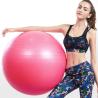 Buy cheap ZH Purple 45CM Inner Thigh Workout Yoga Ball 1600g Fitness Gear Stability from wholesalers