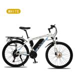 LED Light Lithium Battery Electric Bike , High Speed 500 Watt Electric Bike