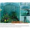 Buy cheap polycarbonate plastic sheet agricultural mini garden green house,plastic walk in dome garden green house, SUPPLIES, PAC from wholesalers