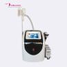 Buy cheap Multifunctional RF Vacuum Cavitation Diode Lipo Laser Cryolipolysis Slimming Machine from wholesalers