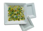 10 Inch 30g Kitchen Dinnerware Bio Food Packaging
