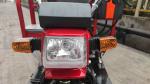 Maximum Speed 50-70Km/h High Cargo Side Adult Recumbent Tricycle 200cc Tipper