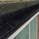 Professional 100mm Diameter White Gutter Brush Leaf Guard 4m Rolls for Gutter