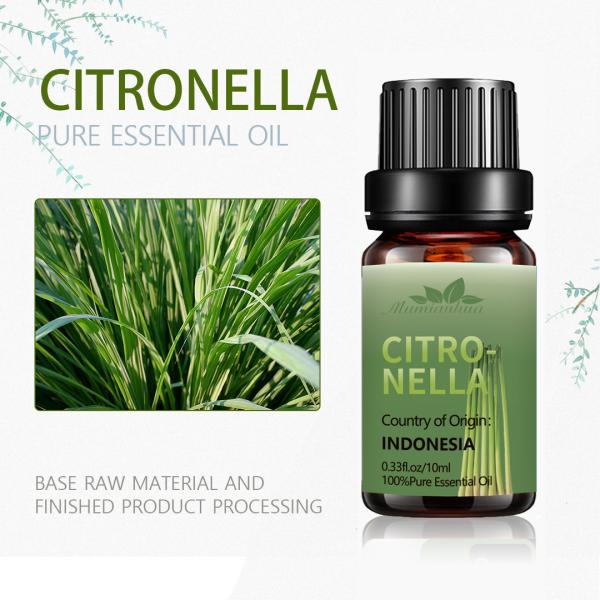 Buy cheap Nourishing Pure Aroma Citronella Essential Oil 10ml COA Massage from wholesalers