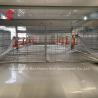 Buy cheap H And A Type Automatic Chicken Cage EquipmentHot Galvanized Long Lifespan Adela from wholesalers