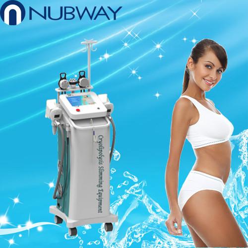 Buy cheap CoolSculpting Cryolipolysis Slimming Machine / Cavitation body shaping beauty device from wholesalers