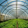 Buy cheap Large Single Layer Film Tunnel Greenhouse for Year-Round Cultivation Currency US from wholesalers