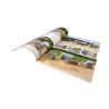 Buy cheap Offset Softcover Book Printing Paperback Perfect Customized Design from wholesalers