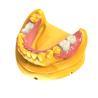 Buy cheap Biocompatible Invisible Denture Base Resin Dental Resin from wholesalers