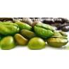 Buy cheap Green Coffee Bean Extract Chlorogenic acid 10%-50% Yellow Brown fine powder, herbal extract manufacture, Yongyuan Bio from wholesalers