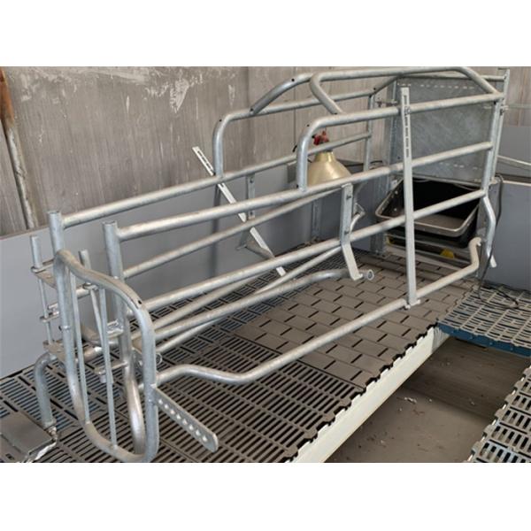 Curved Edge Design Pig Farrowing Crate Hog Equipment OEM / ODM Available