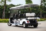 Electric Golf cart leading to the golden autumn harvest in September