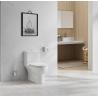 Buy cheap Soft Closed One Piece Toilets Siphonic Flushing 720×374×727mm from wholesalers