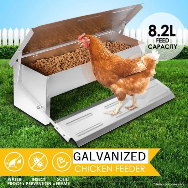 Quality OEM 51x21cm Rust Proof 16.4L Auto Chook Feeder for sale
