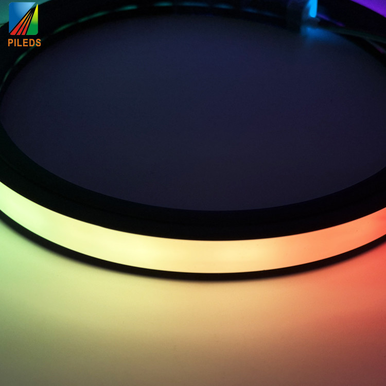 Unique Black Silicone LED Neon Strip 20*20mm SPI-RGB Dotless Waterproof IP67 LED Neon Flex Rope Light for Club Landscape
