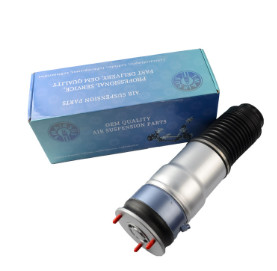 Guangdong Origin Air Suspension Spring for Direct Replacement Needs
