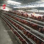 5 Tiers 450cm2 Galvanized Layer Battery Cage System Egg Laying Hens Emily