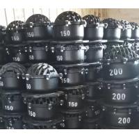 Buy cheap DN150 DN200 cast iron flanged foot valve product