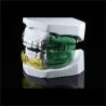 Buy cheap Customized Orthodontic Frankel Dental Device for Misaligned teeth from wholesalers