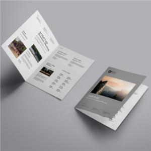 Wholesale 128GSM 300GSM Instruction Booklet Printing A6 Brochure Printing from china suppliers