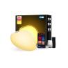 Buy cheap FCC Desktop Atmosphere Light 10W Adjustable Brightness Portable from wholesalers