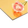 Buy cheap 1220mm Mirror Aluminum Composite Panel 10 Years Warranty from wholesalers