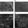 Buy cheap Micronized Graphite 99% Purity Graphite Powder 5 Micron For Battery from wholesalers