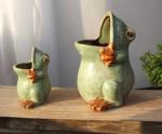 Succulent Creative Frog Animals Plant Flowerpots
