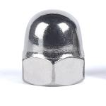 Stainless Steel SS304 SS316 A2-70 A4-80 Bright Hex Dome Bright Cap nuts