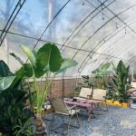Vegetable Strawberry Greenhouse Large Size Package Size 50.00cm * 60.00cm * 50