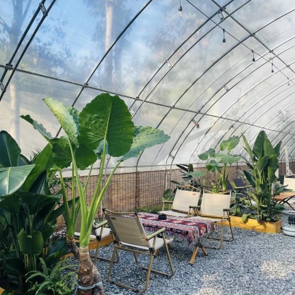 Buy cheap US Currency Multi Span Vegetable Film Greenhouse System for Sunlight and Strawberry Flower from wholesalers