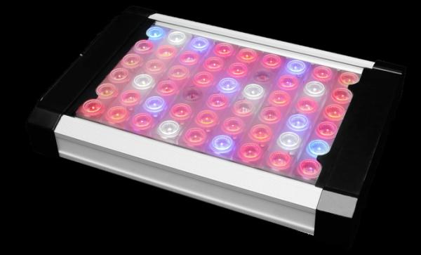 Buy cheap Orpheus X1 150W LED Grow Lights Bar Alluminum Material 150w Actual Power CE Marked from wholesalers