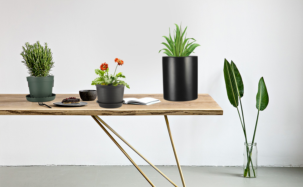 pots for plants