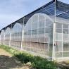 Buy cheap Multi Span Po Film Greenhouse in High Demand Package Size 50.00cm * 60.00cm * 50.00cm from wholesalers