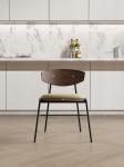 Fireproof Ultra Modern Dining Chairs Wooden Back In Family Living Room