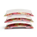 Professional Manufacturer Recyclable Plastic Food Packaging Sushi Trays for Food