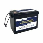 48V 50AH LiFePO4 Lithium Battery with Smart BMS for Marine Boat Renewable Energy