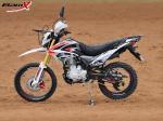 250cc Gasoline Motorcycle Dirt Bike For Adult Off Road 200-250cc Engine