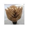 Buy cheap 17-1/2"TCI Tricone Rock bit, IADC code 435,7⅝ API Reg. Pin connection.used in SOFT-MEDIUM rock from wholesalers
