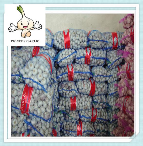 Buy cheap Pure White Garlic Price 5p(200g) bulk fresh garlic garlic importer garlic wholesale from wholesalers