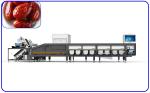 Buy cheap 380V 50Hz 6 Lanes Robot Sorting Machine Electric Drive For Dates from wholesalers