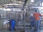 High Capacity Automatic Tomato Paste Processing Line SUS304