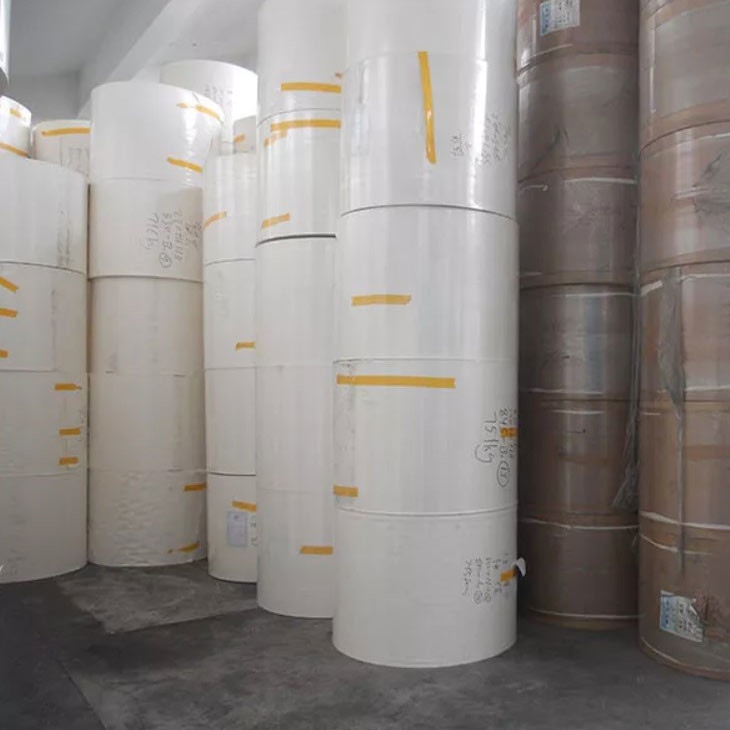 Pe Coated Paper Cup Raw Material Eco Friendly Food PE Paper Roll