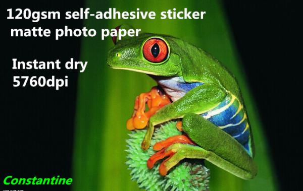 Buy cheap 120gsm self-adhesive sticker matte inkjet photo paper from wholesalers