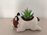 Succulent Plant Animal Pot with Dog Style