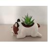 Buy cheap Succulent Plant Animal Pot with Dog Style from wholesalers