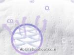 Taped Diaper Hot Sale Custom OEM Biodegradable Baby Diaper